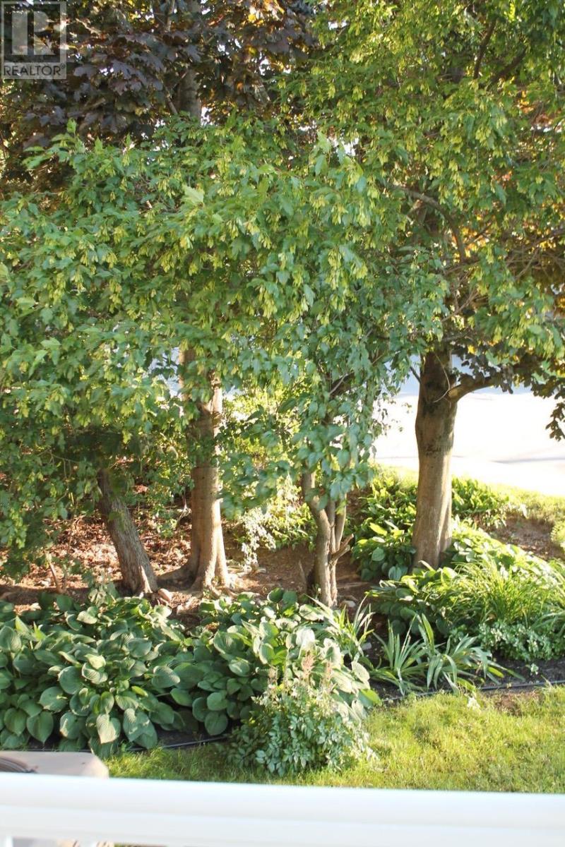 269 Prince Albert Rd, Dartmouth, Nova Scotia  B2Y 1M9 - Photo 48 - 202407577