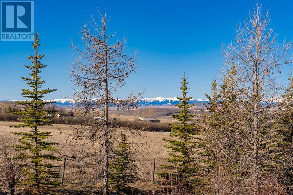 418001 Highway 783, Rural Foothills County, Alberta  T1S 4S4 - Photo 11 - A2122401