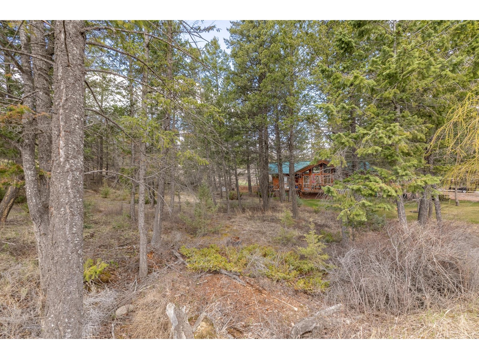 Lot 21 Columbia Ridge Drive, Fairmont Hot Springs, British Columbia  T3A 6A6 - Photo 3 - 2476230