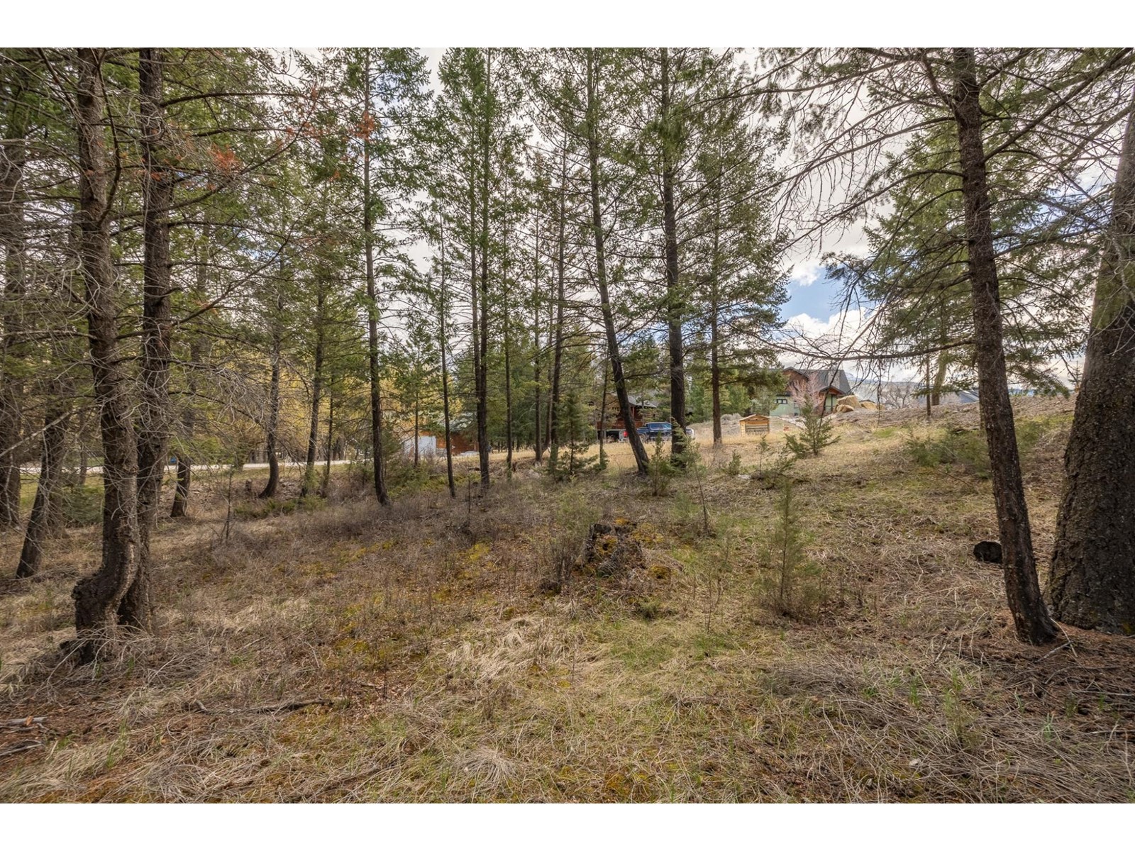 Lot 21 Columbia Ridge Drive, Fairmont Hot Springs, British Columbia  T3A 6A6 - Photo 5 - 2476230