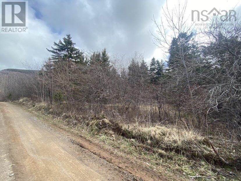 Chemin Du Lac Road, Grand Étang, Nova Scotia  B0E 1H0 - Photo 12 - 202407609
