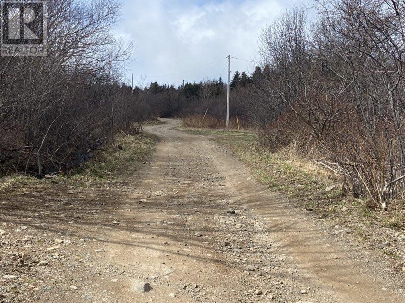 Chemin Du Lac Road, Grand Étang, Nova Scotia  B0E 1H0 - Photo 15 - 202407609