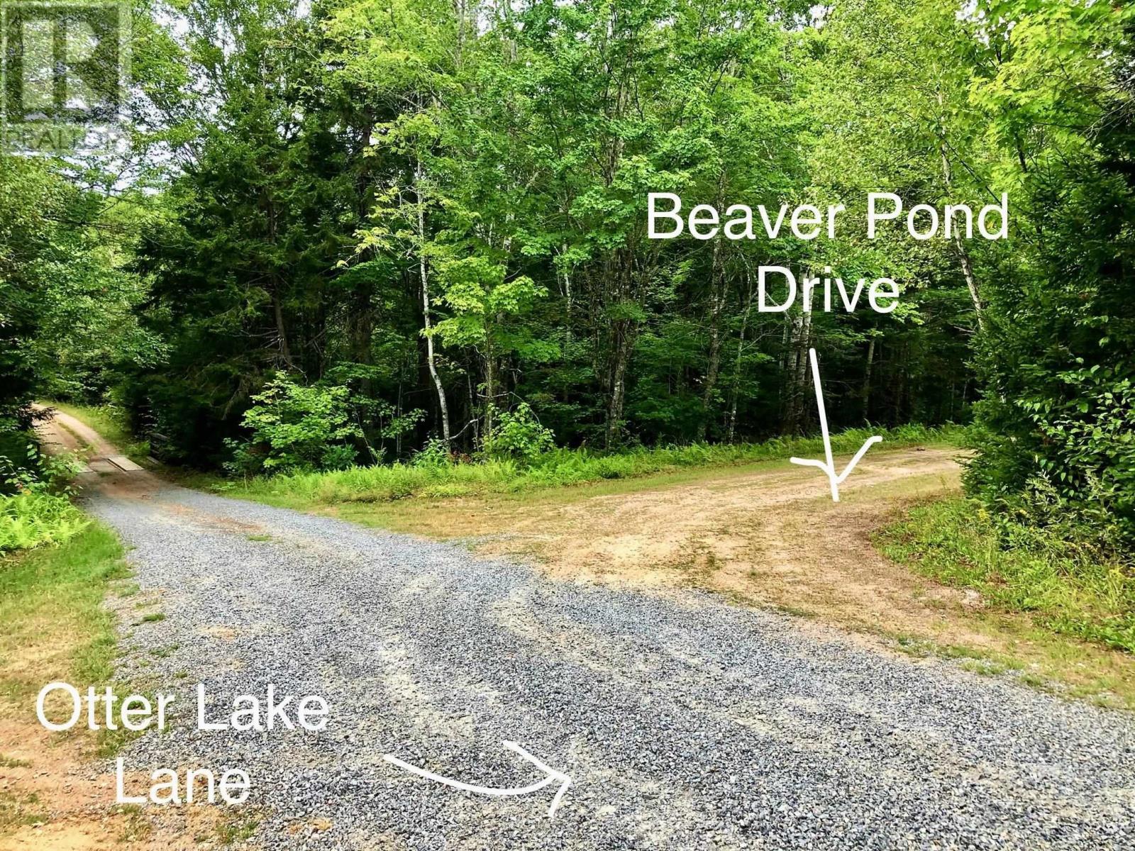Lot 45 Beaver Pond Drive, East Dalhousie, Nova Scotia  B0J 2M0 - Photo 10 - 202407616