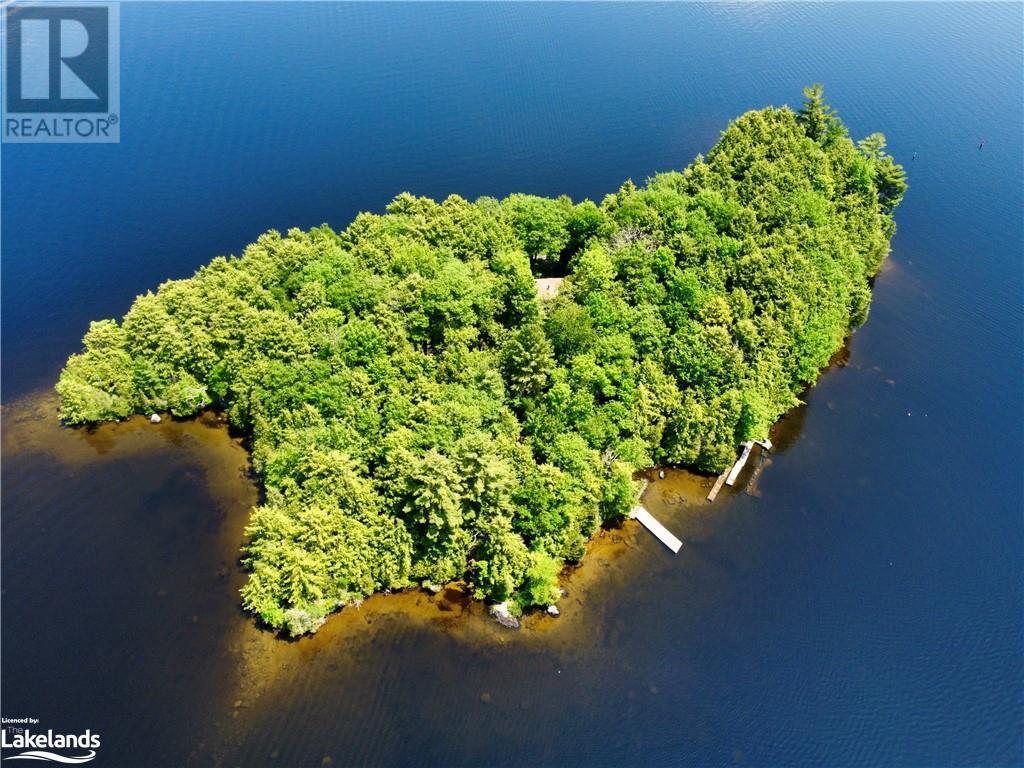 1 CEDAR Island