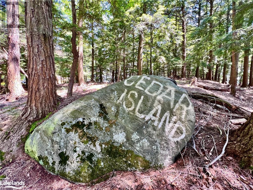 1 Cedar Island, Gravenhurst, Ontario  P1P 1R2 - Photo 17 - 40566453