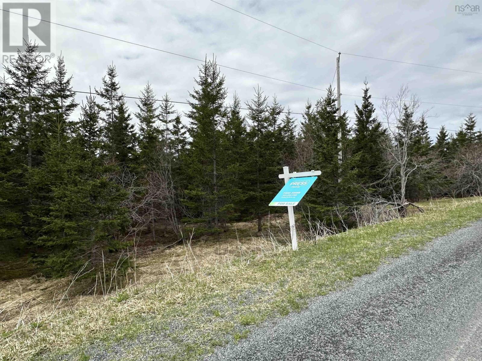 Beech Hill Road, Antigonish, Nova Scotia  B2G 0B4 - Photo 9 - 202407639