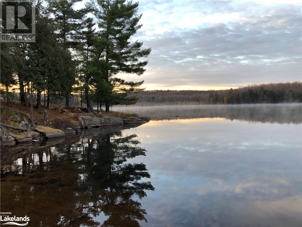 9411 522 Highway, Arnstein, Ontario  P0H 1A0 - Photo 38 - 40573909