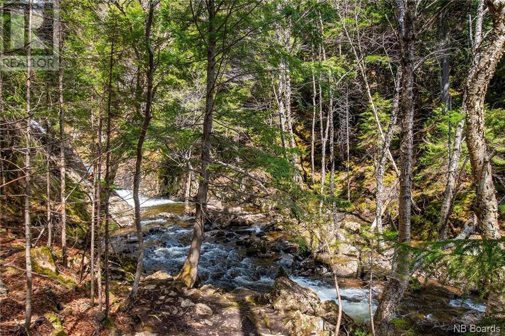 Lot Moss Glen Shore Road, Clifton Royal, New Brunswick  E5S 2C3 - Photo 22 - NB098085