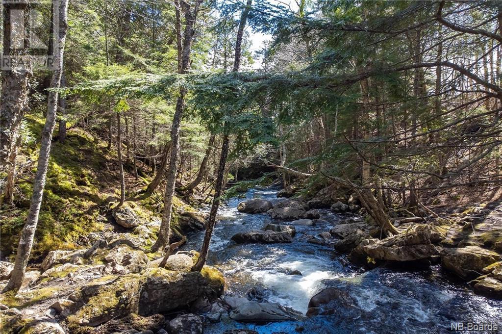 Lot Moss Glen Shore Road, Clifton Royal, New Brunswick  E5S 2C3 - Photo 5 - NB098085