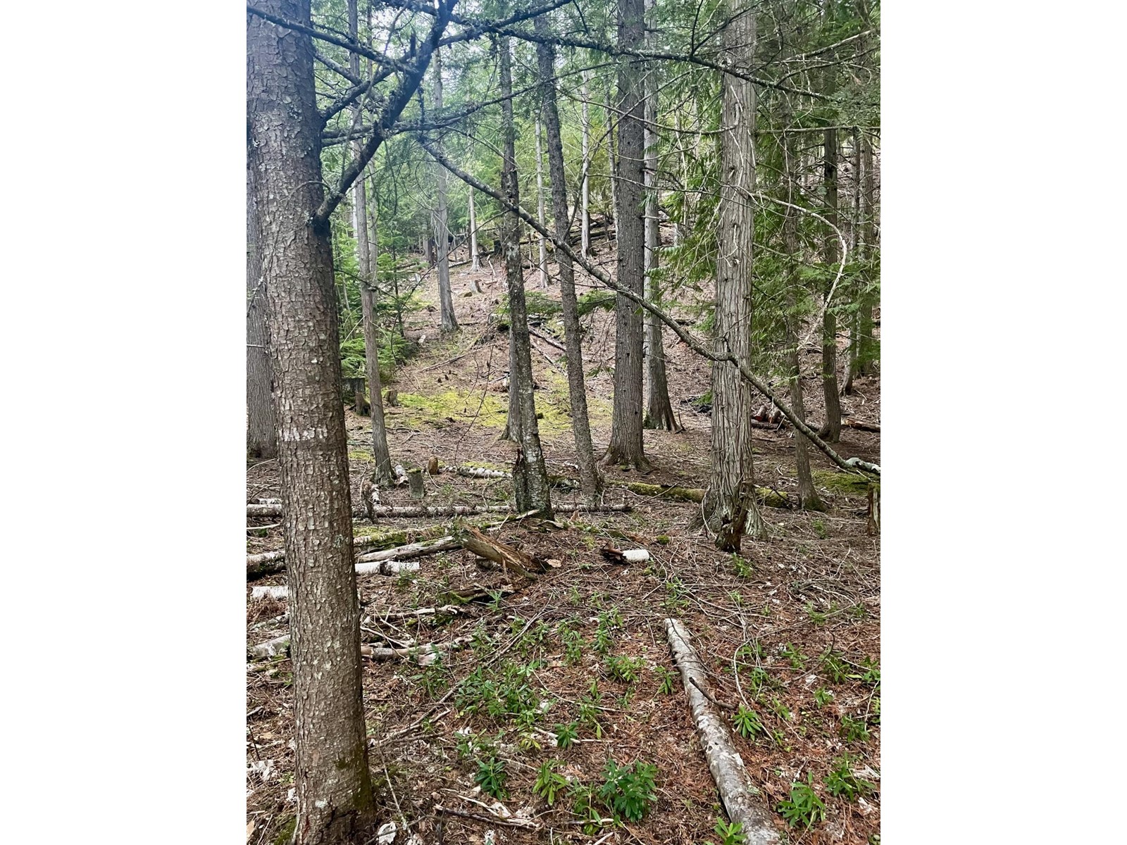 Lot 13 Slocan West Road, Nelson, British Columbia  V1L 4J1 - Photo 3 - 2476091