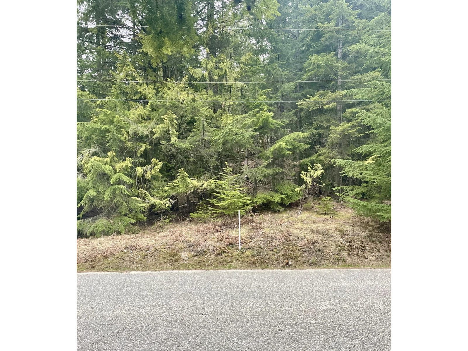 Lot 13 Slocan West Road, Nelson, British Columbia  V1L 4J1 - Photo 7 - 2476091