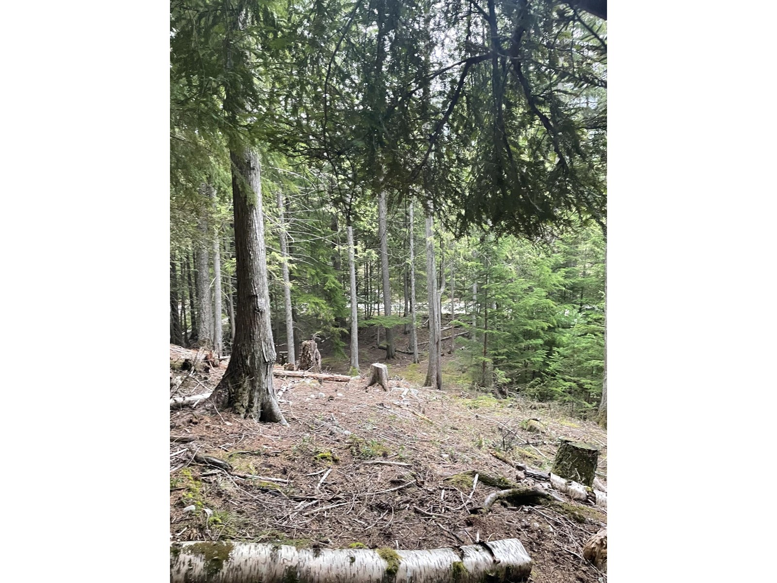 Lot 13 Slocan West Road, Nelson, British Columbia  V1L 4J1 - Photo 4 - 2476091