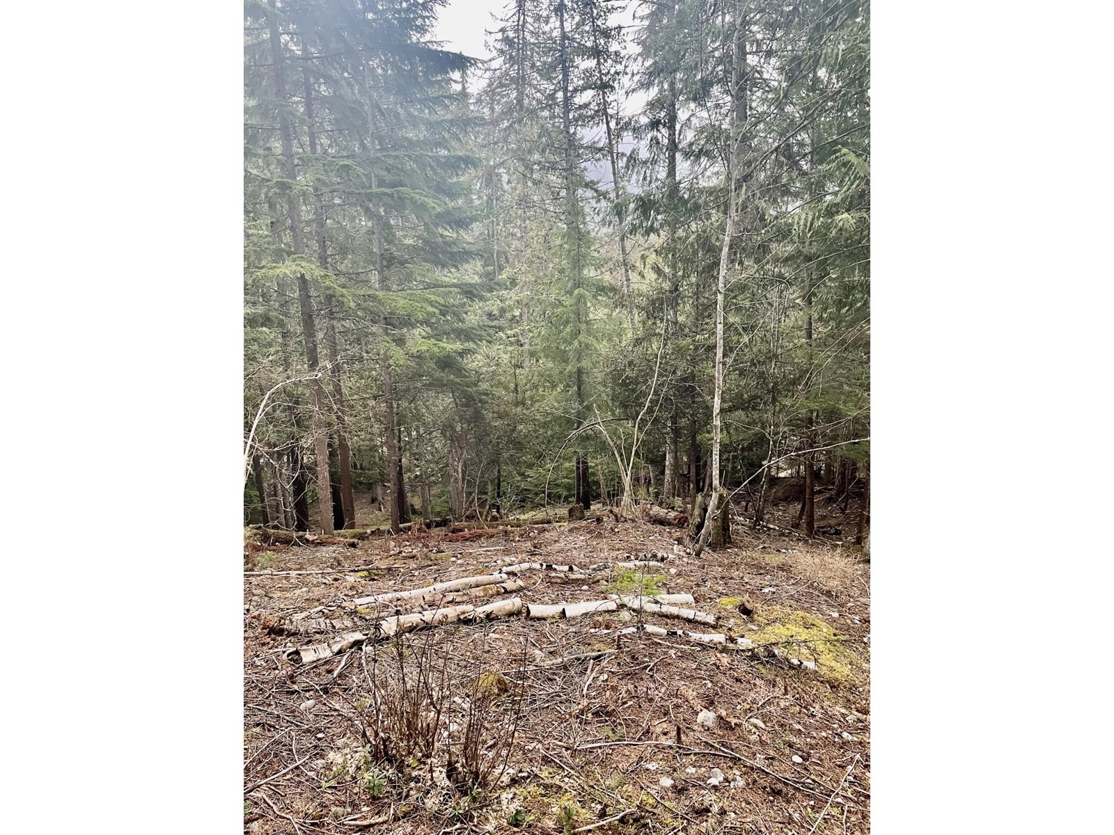 Lot 13 Slocan West Road, Nelson, British Columbia  V1L 4J1 - Photo 5 - 2476091