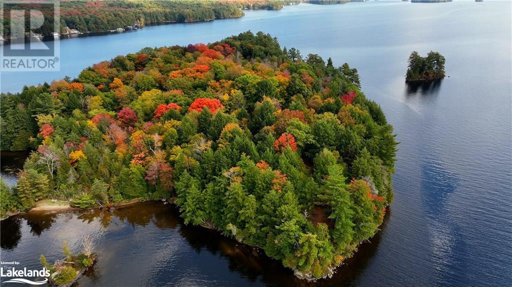 0 Island Meda Island, Muskoka Lakes, Ontario  P0B 1J0 - Photo 5 - 40572495