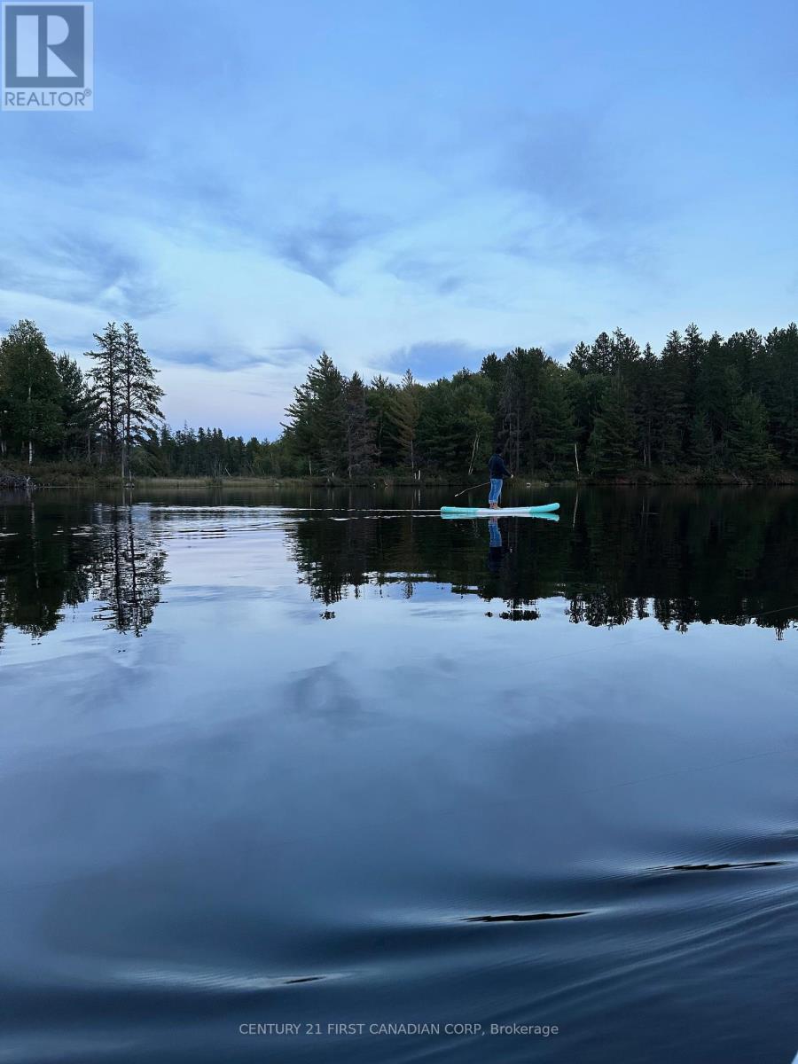 N/a Lamotte Lake Road, Sudbury Remote Area, Ontario  P0M 1W0 - Photo 16 - X8250488