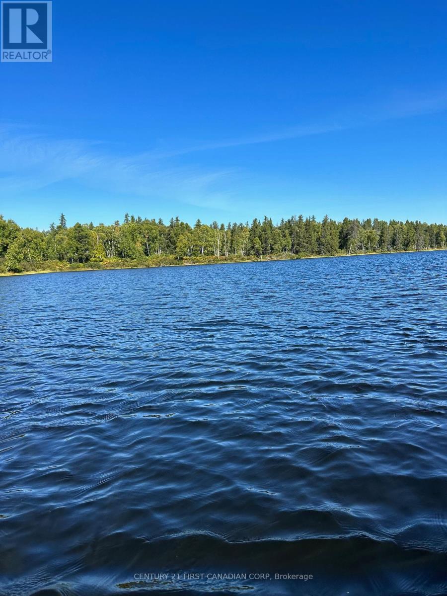 N/a Lamotte Lake Rd, Sudbury Remote Area, Ontario  P0M 1W0 - Photo 15 - X8250488