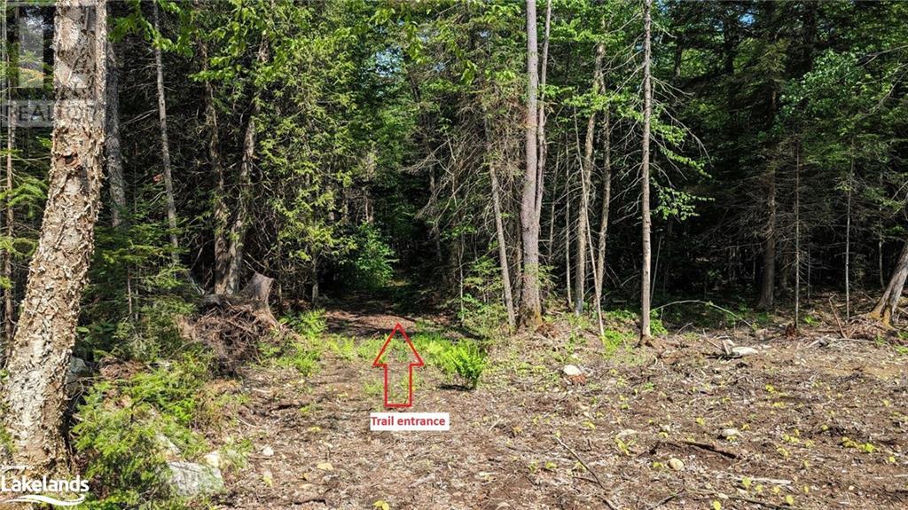 Lot 2 Limberlost Road, Lake Of Bays, Ontario  P1H 2J6 - Photo 3 - 40574642