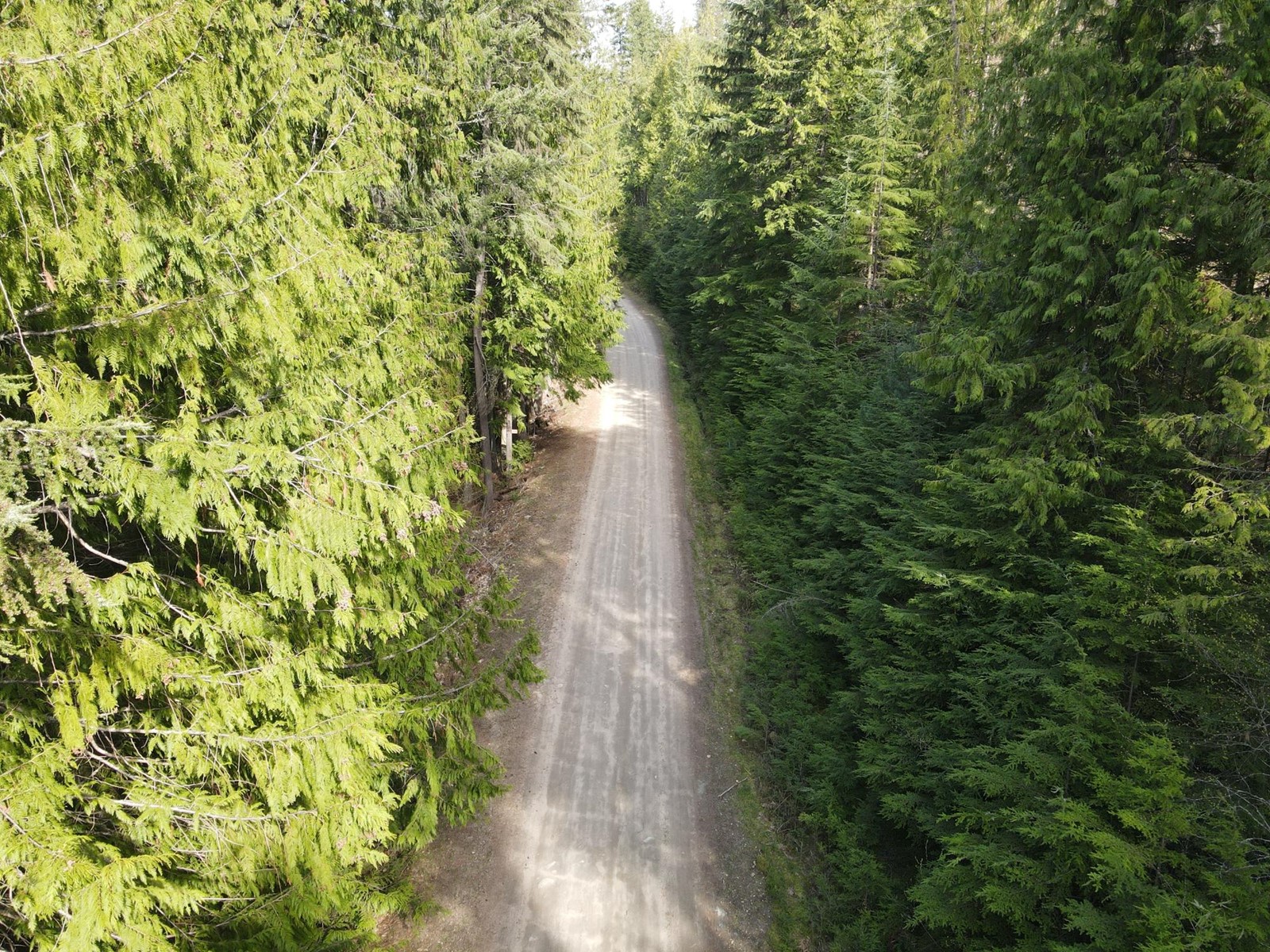 Lot 3 Lasca Creek Road, Harrop, British Columbia  V1L 7B2 - Photo 27 - 2475339