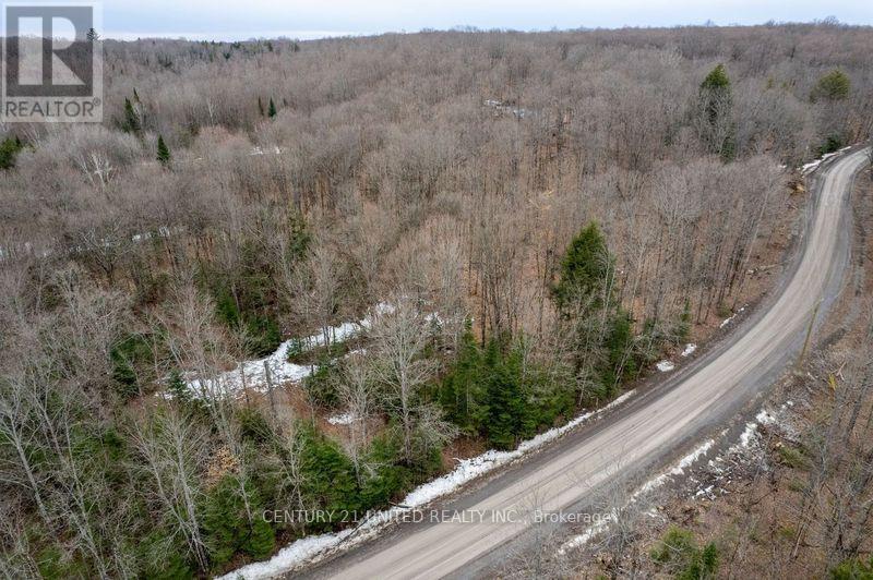 N/a Glen Alda Road, North Kawartha, Ontario  K0L 1A0 - Photo 12 - X8155516