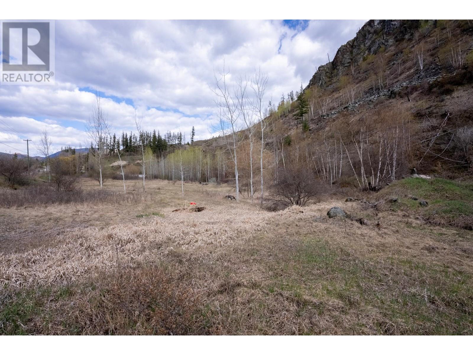 3116 Yellowhead Hwy, Little Fort, British Columbia   - Photo 11 - 177922