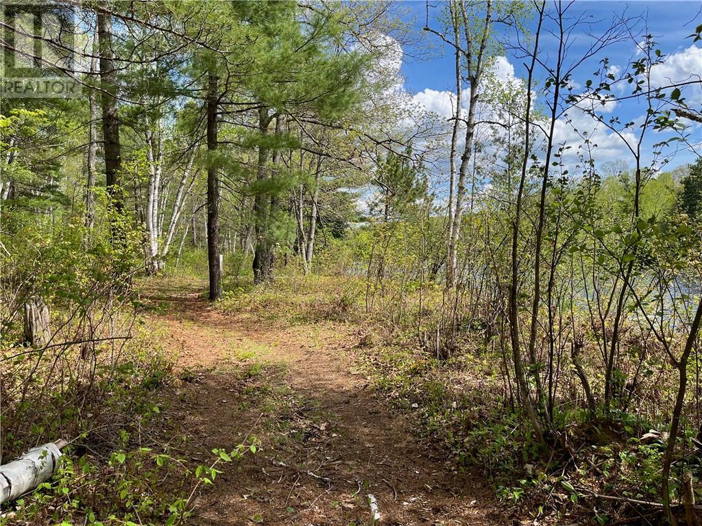 Lot 40 SANDY SHORES TRAIL Barry's Bay