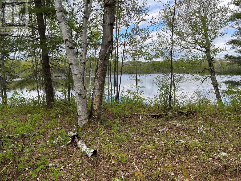 LOT 8 CASSON TRAIL Barry's Bay