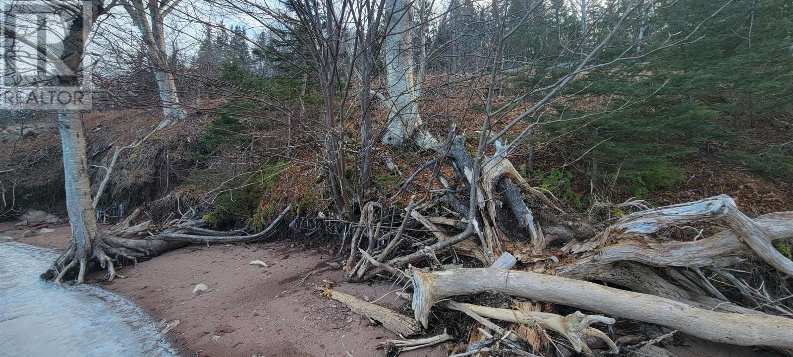 No # Cabot Trail, Goose Cove, Nova Scotia  B0E 1B0 - Photo 5 - 202407831