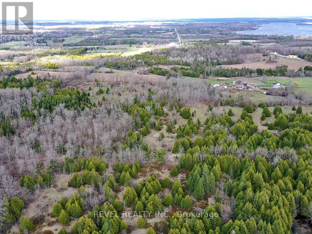 0 Dunbar Dr, Kawartha Lakes, Ontario K0M 1N0 - Photo 13 - X8097264