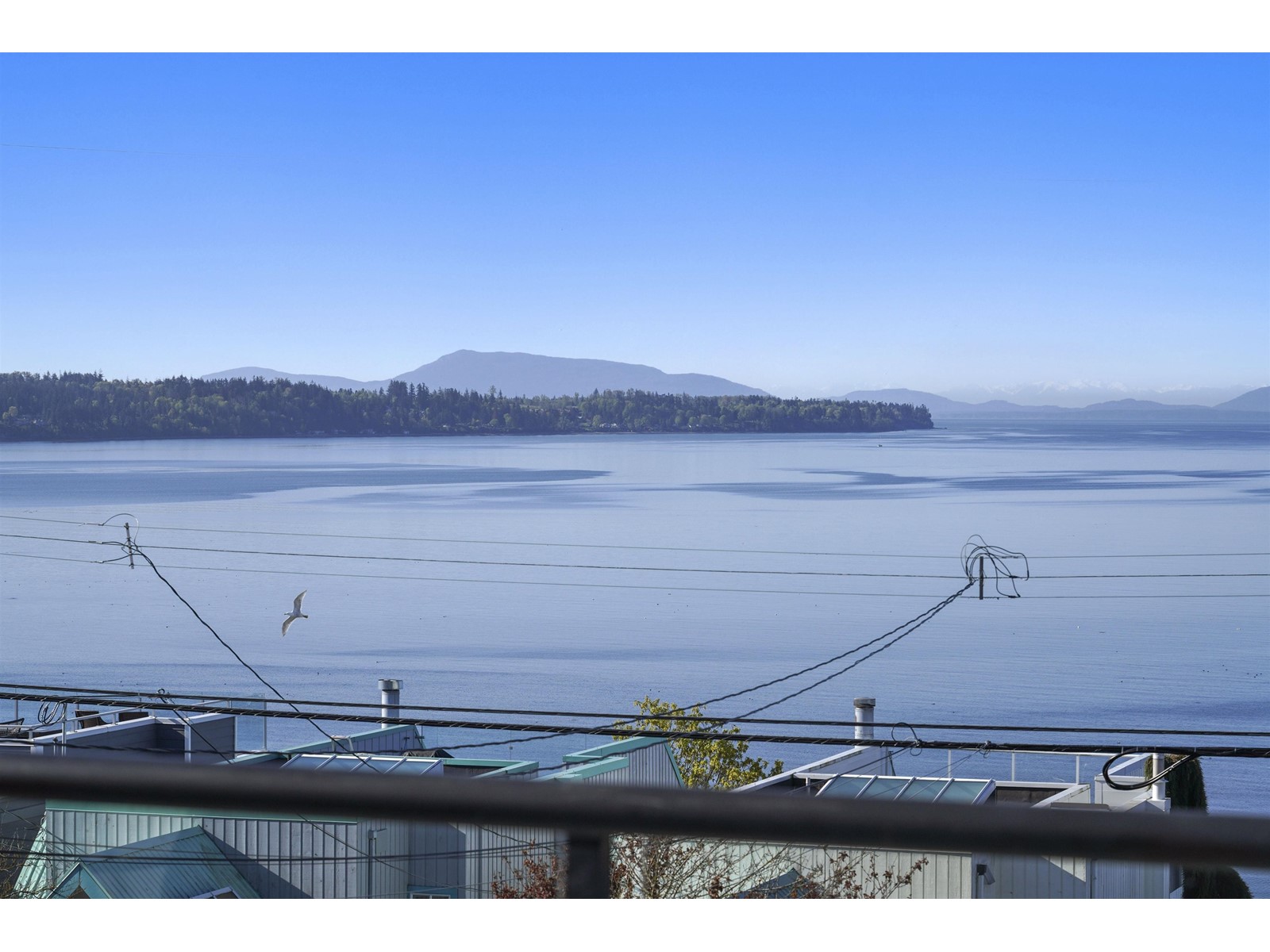 Listing Picture 24 of 27 : 15245 VICTORIA AVENUE, White Rock - 魯藝地產 Yvonne Lu Group - MLS Medallion Club Member