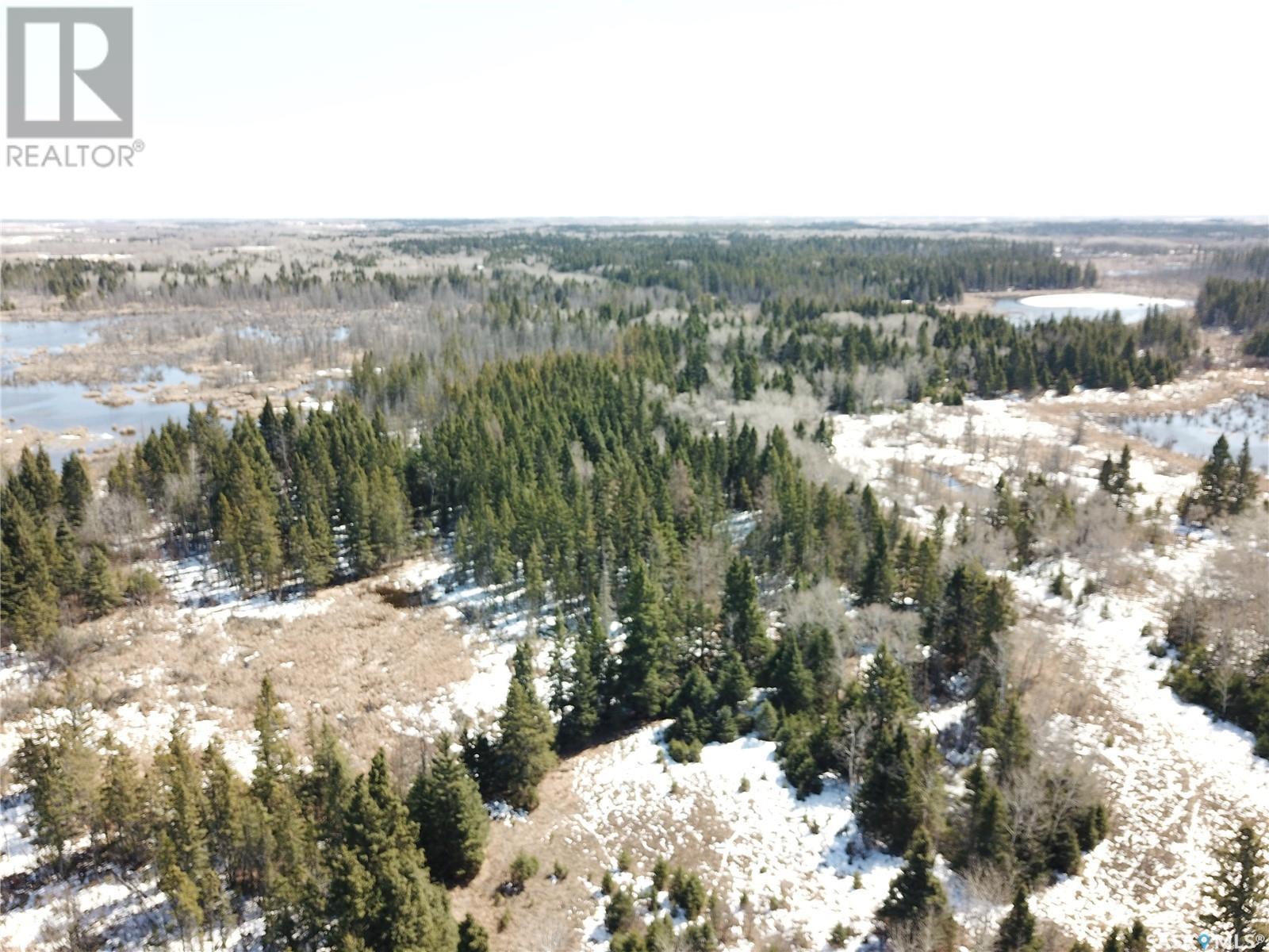 Recreation Land - Mont Nebo, Canwood Rm No. 494, Saskatchewan  S0J 1X0 - Photo 9 - SK966715