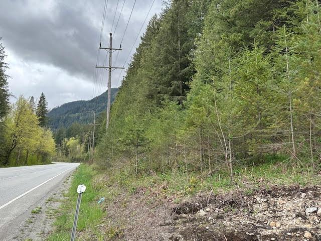 25685 Trans Canada Highway, Hope, British Columbia  V0X 1L3 - Photo 8 - R2872841
