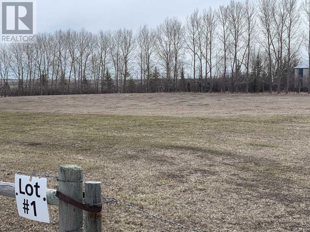 48235 365 Avenue E, Rural Foothills County, Alberta  T1S 5W8 - Photo 3 - A2125044