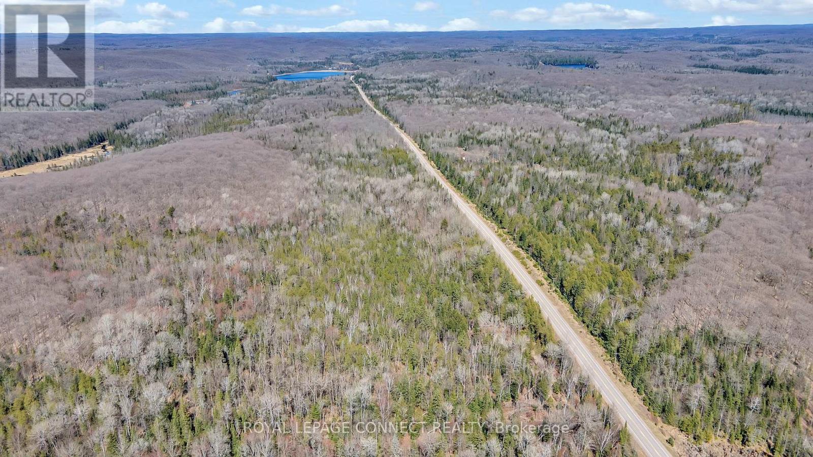 12548 N County Rd 503, Highlands East, Ontario  K0L 3C0 - Photo 12 - X8260338