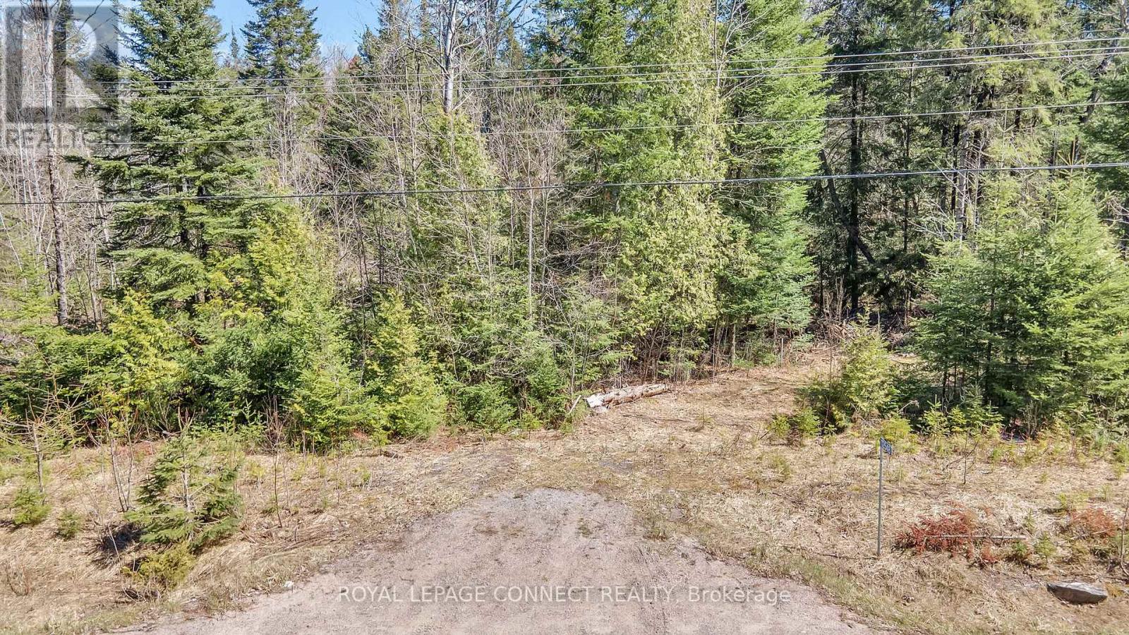12548 N County Rd 503, Highlands East, Ontario  K0L 3C0 - Photo 19 - X8260338