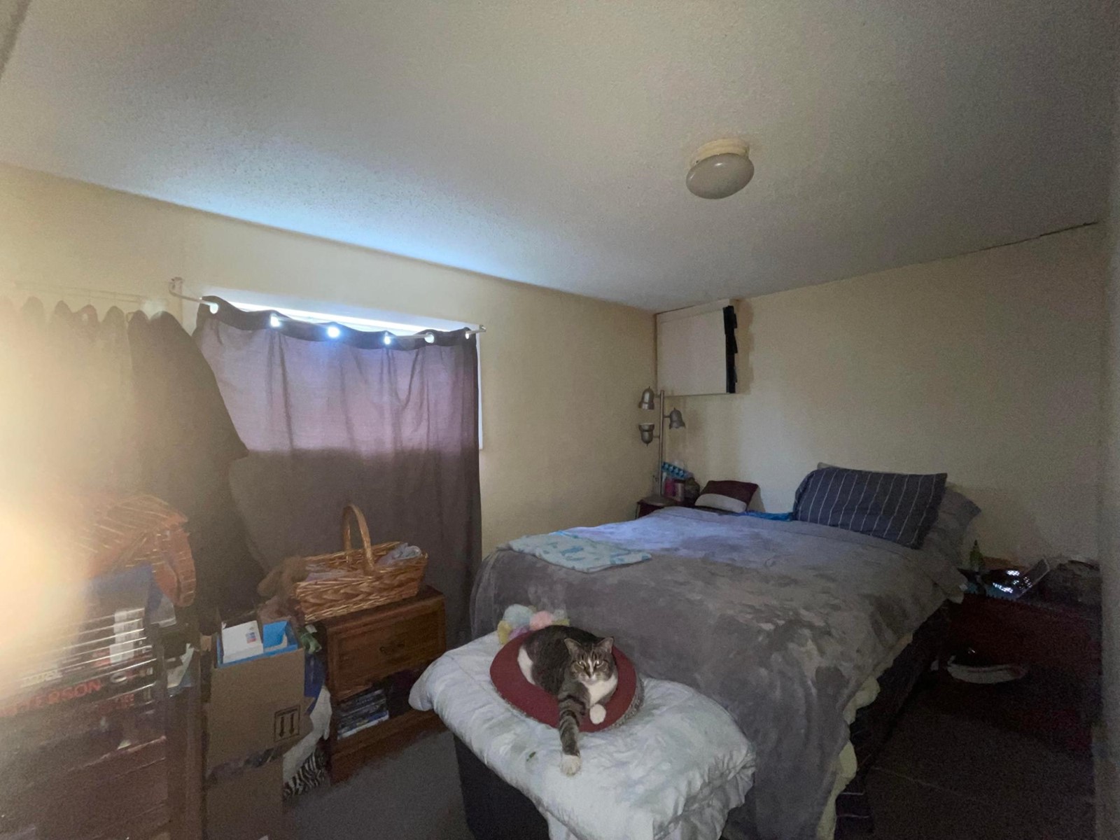222 - 224 Van Horne Street S, Cranbrook, British Columbia  V1C 1Z4 - Photo 3 - 2476324