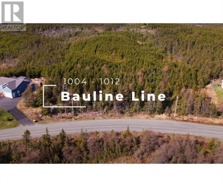 1008-1012 Bauline (PARCEL B) Line, Bauline, A1K1E7, ,Vacant land,For sale,Bauline (PARCEL B),1270140