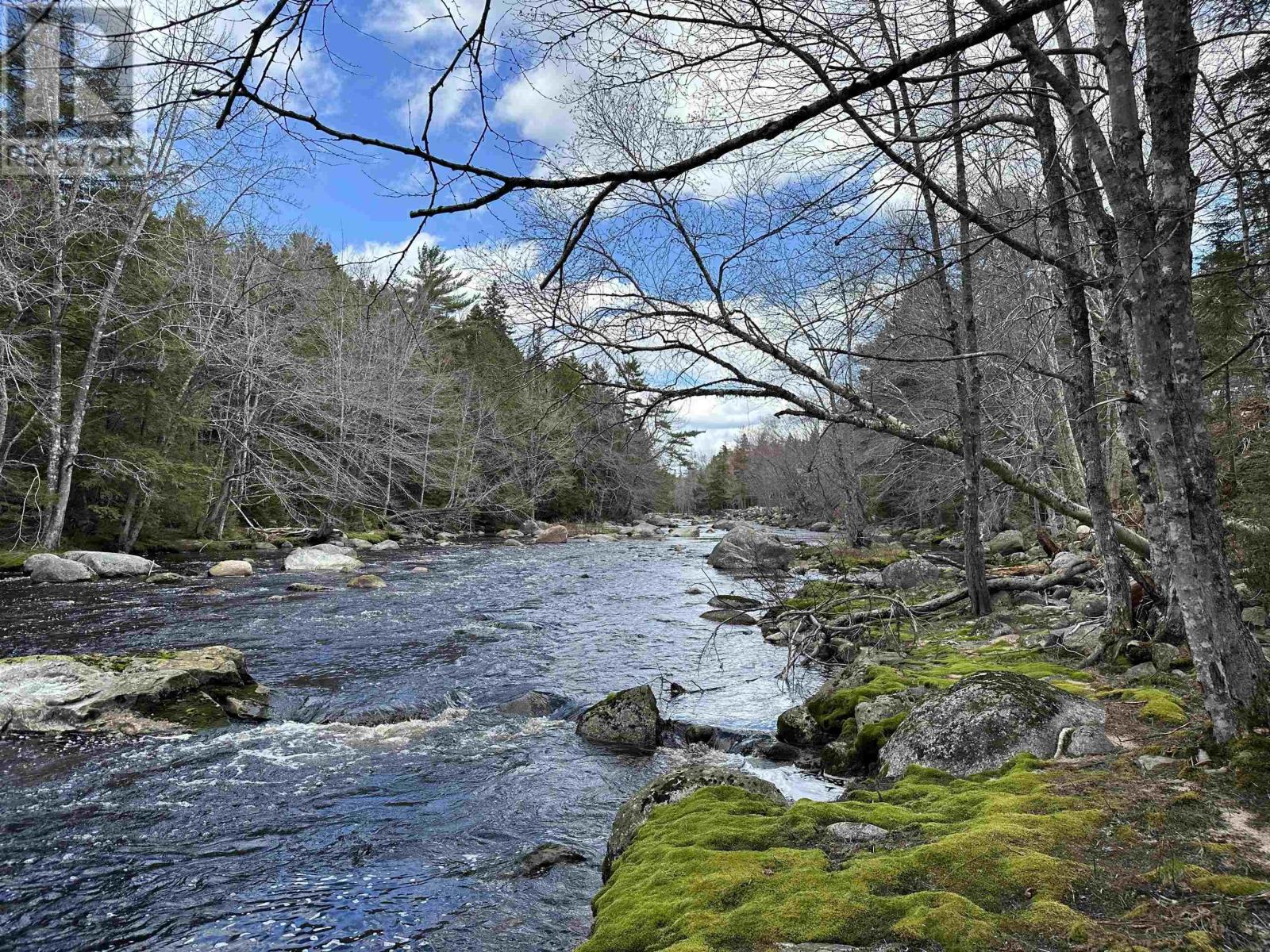 25 Middle River Road, Chester Basin, Nova Scotia  B0J 1K0 - Photo 19 - 202408046