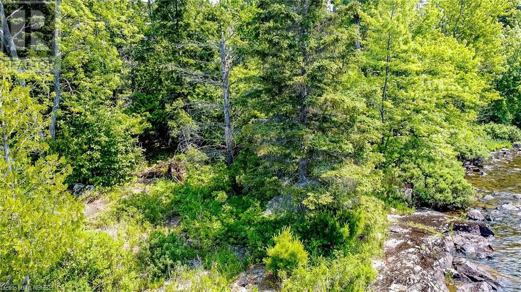 Lot 6 Grand Trunk Island, Callander, Ontario  P0H 1H0 - Photo 16 - 40574126