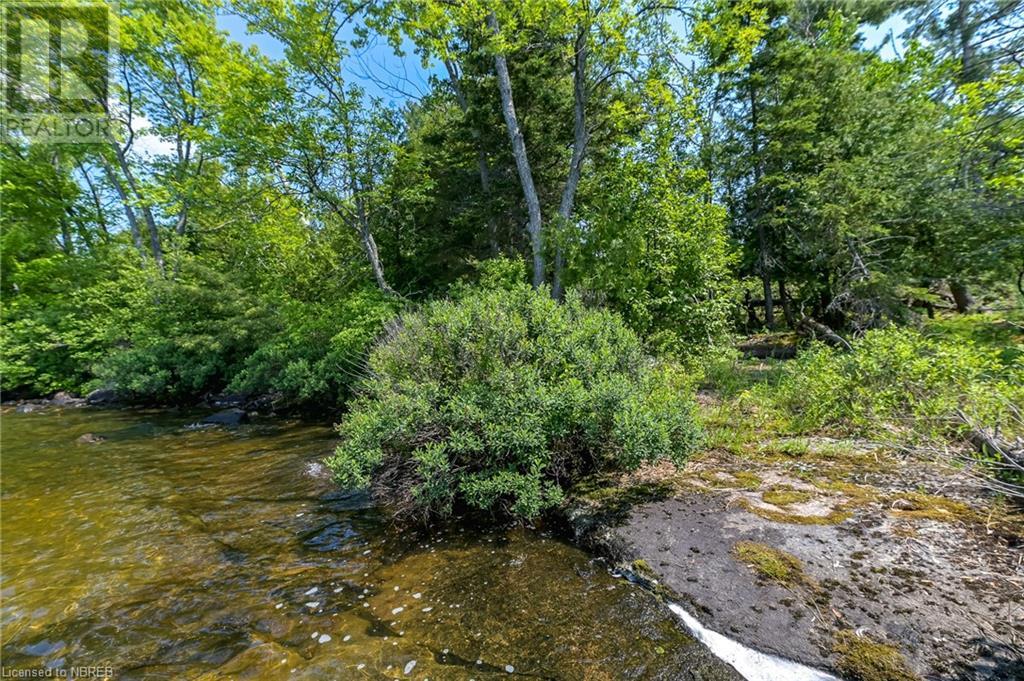 Lot 6 Grand Trunk Island, Callander, Ontario  P0H 1H0 - Photo 20 - 40574126