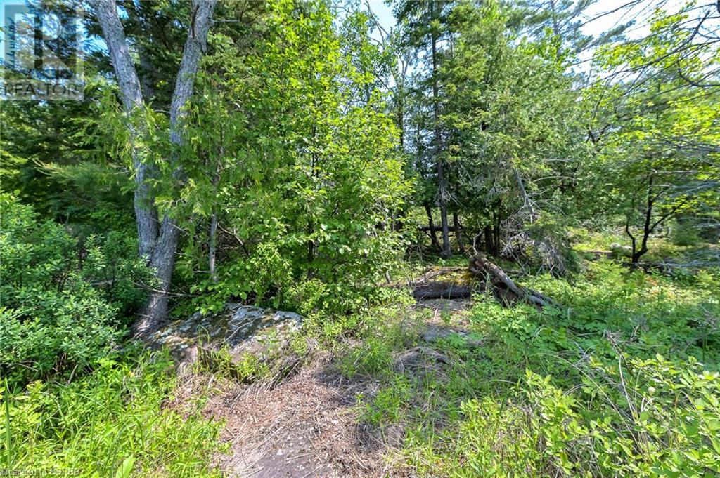 Lot 6 Grand Trunk Island, Callander, Ontario  P0H 1H0 - Photo 21 - 40574126