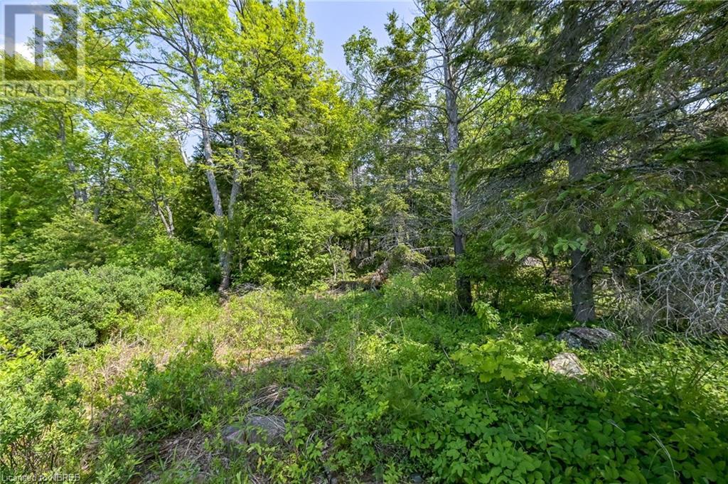 Lot 6 Grand Trunk Island, Callander, Ontario  P0H 1H0 - Photo 22 - 40574126