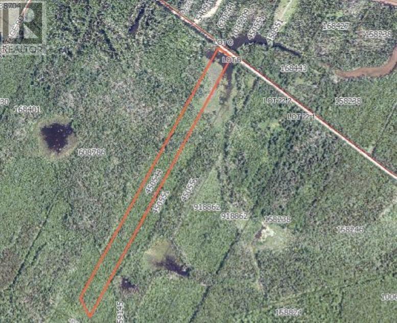 Property at 23.12 Acre Primrose Road image 2