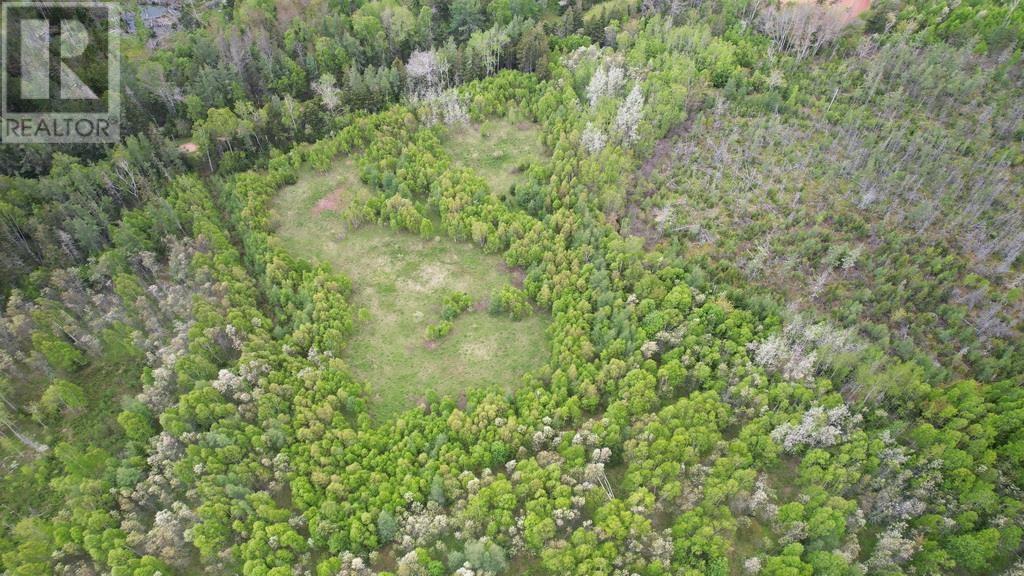 Lot 4 Chantrelle Road, Launching, Prince Edward Island  C0A 1G0 - Photo 5 - 202406370