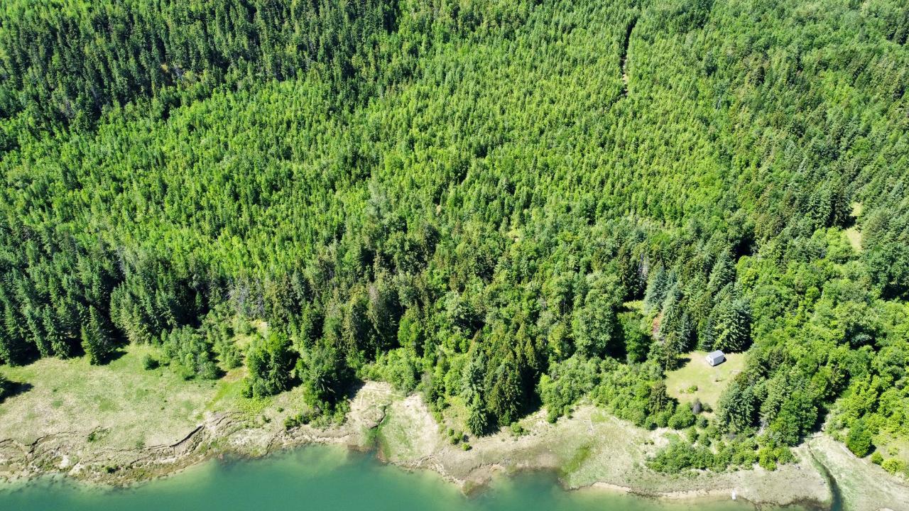 Dl 8159 Oatscott Forestry Service Road, Arrow Park, British Columbia  V0G 1R1 - Photo 15 - 2476331