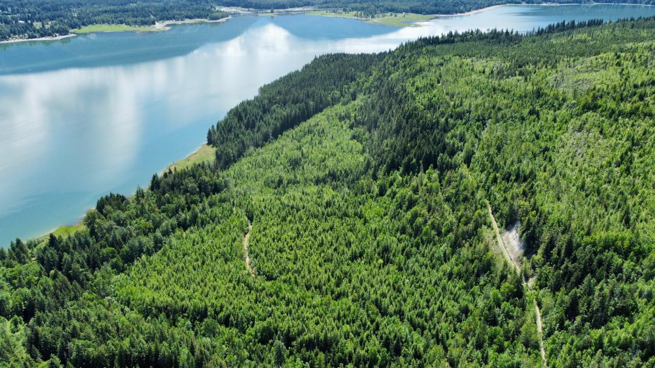 Dl 8159 Oatscott Forestry Service Road, Arrow Park, British Columbia  V0G 1R1 - Photo 18 - 2476331