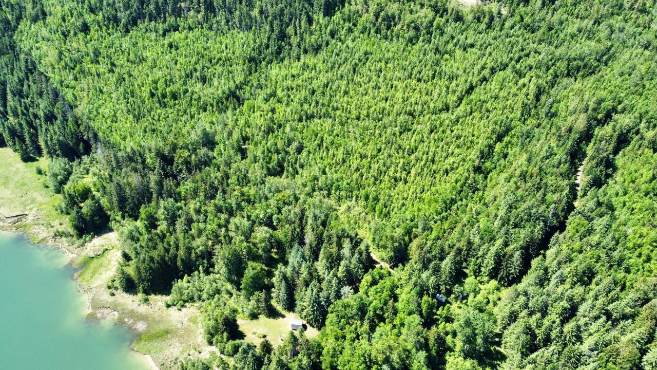 Dl 8159 Oatscott Forestry Service Road, Arrow Park, British Columbia  V0G 1R1 - Photo 20 - 2476331