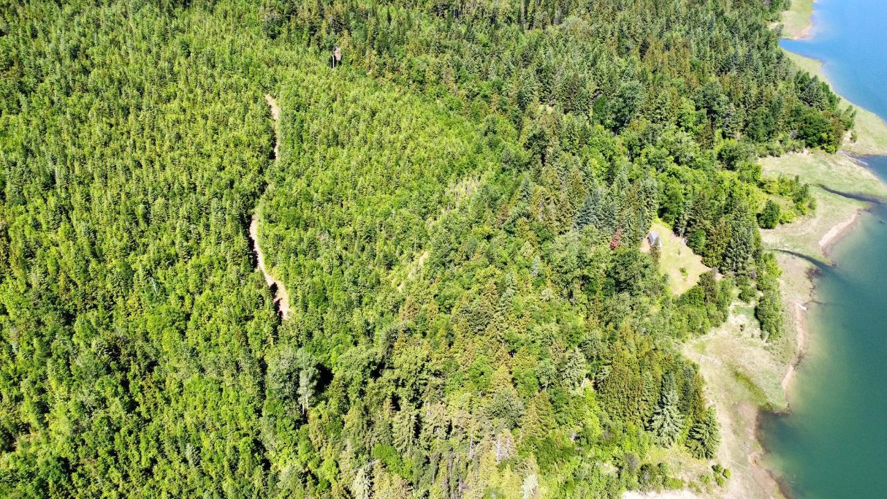 Dl 8159 Oatscott Forestry Service Road, Arrow Park, British Columbia  V0G 1R1 - Photo 32 - 2476331