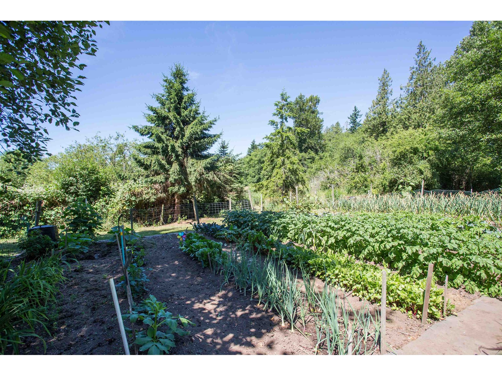 1297-1381 184 Street, Surrey, British Columbia  V3Z 9R9 - Photo 20 - R2849064