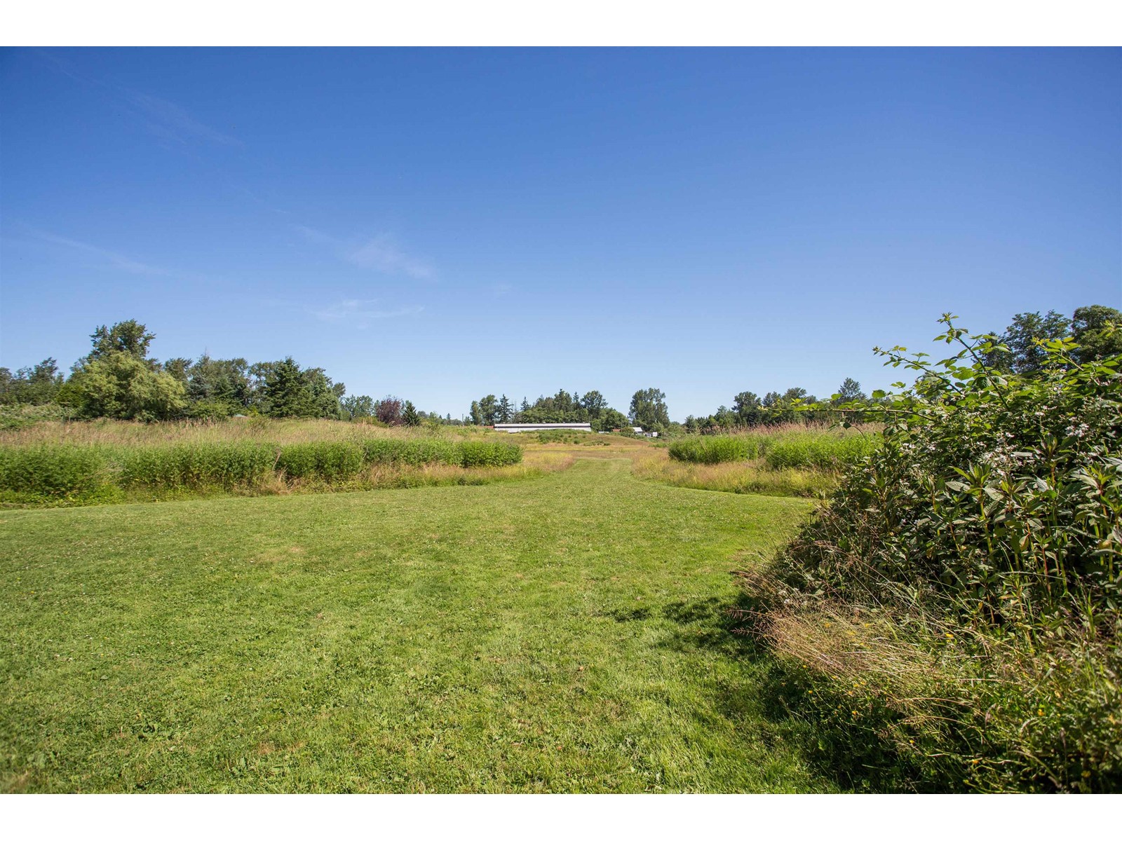 1297-1381 184 Street, Surrey, British Columbia  V3Z 9R9 - Photo 12 - R2849064