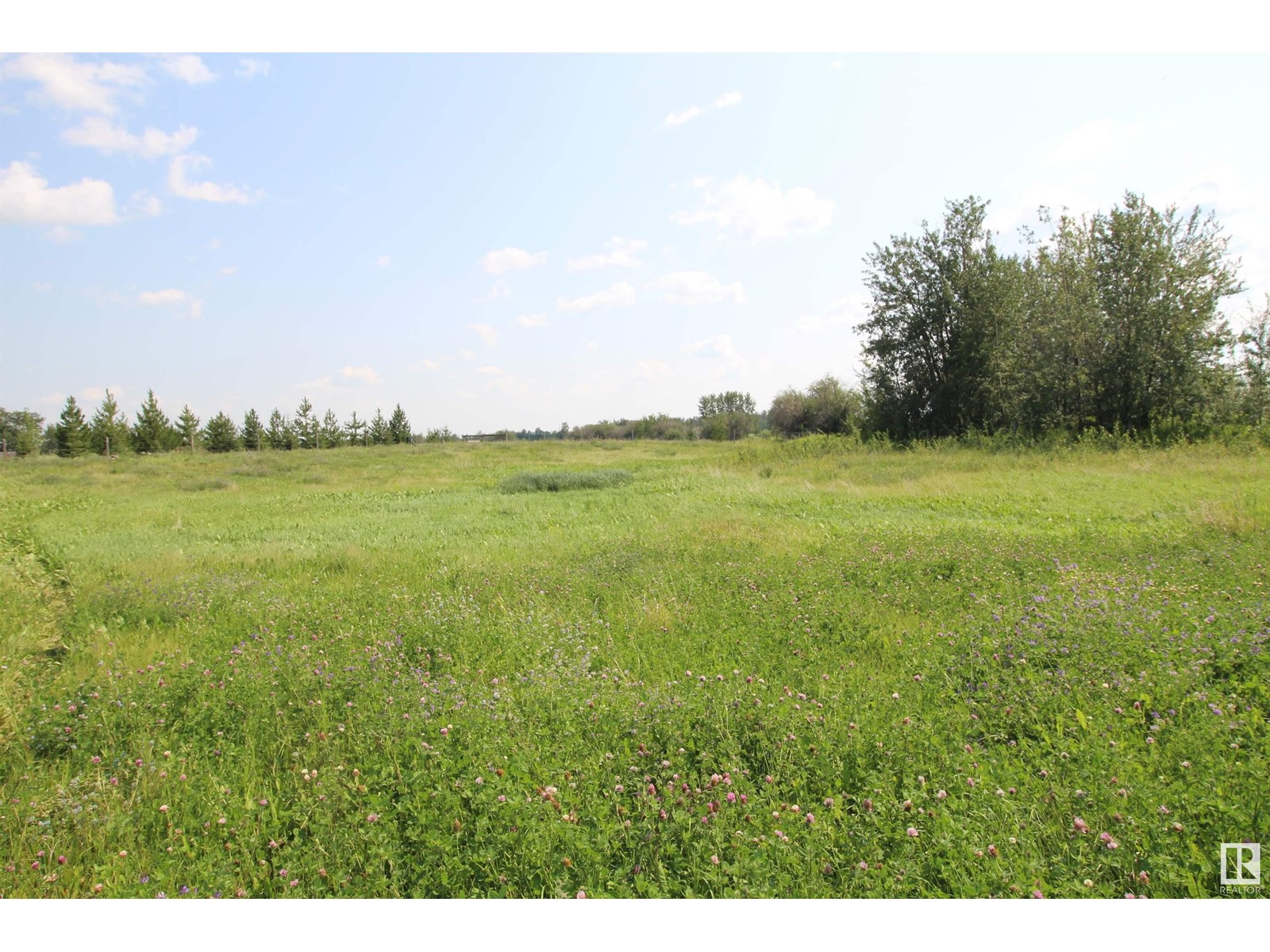 26521 Twp Rd 584, Rural Westlock County, Alberta  T7P 2P6 - Photo 12 - E4383507